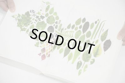 画像13: Book Of Plants (new edition)  /  Anne Geene