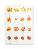 Book Of Plants (new edition)  /  Anne Geene