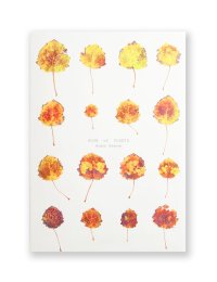 Book Of Plants (new edition)  /  Anne Geene