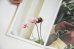 画像15: Please take your shoes off and come in / Johanna Tagada Hoffbeck