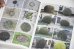 画像5: Book Of Plants (new edition)  /  Anne Geene