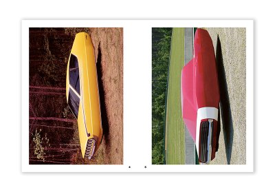 画像3: Meta Cars / Beni Bischof