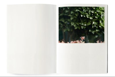 画像2: 光の根 / 岩橋優花