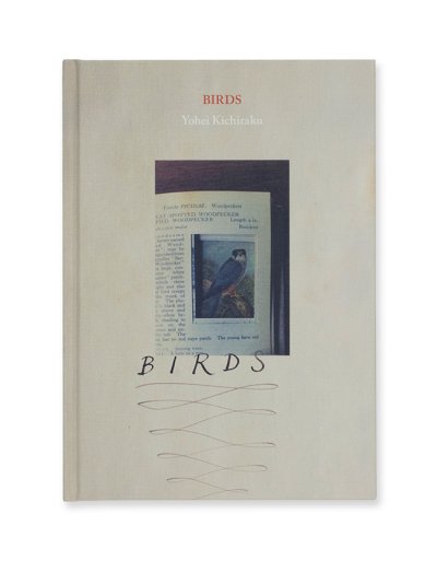 画像1: BIRDS / 吉楽洋平
