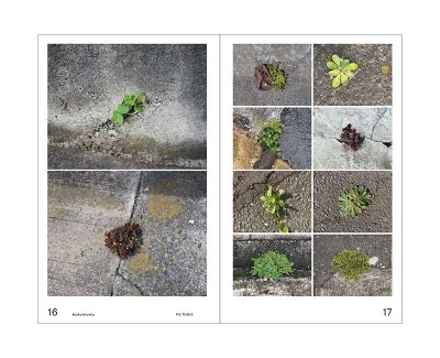 画像3: 緑をみる人 / 村田あやこ