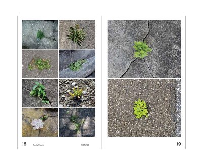 画像4: 緑をみる人 / 村田あやこ