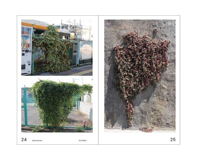 画像6: 緑をみる人 / 村田あやこ