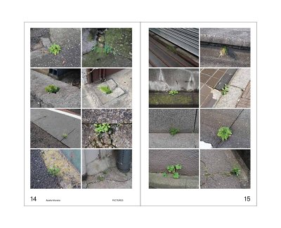画像2: 緑をみる人 / 村田あやこ