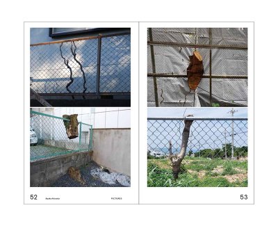 画像8: 緑をみる人 / 村田あやこ