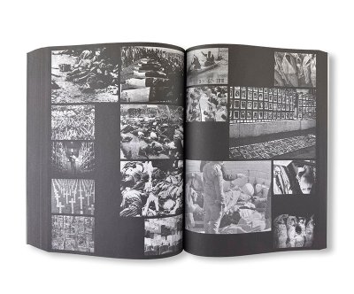 画像6: PROVISORIA / Ria Verhaeghe