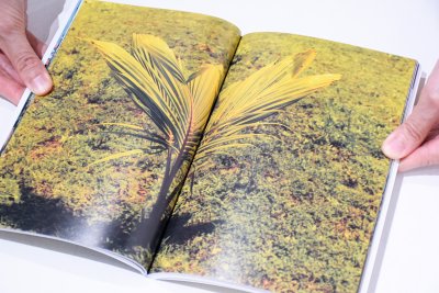 画像8: Strong memory / 佐内正史、擬態屋