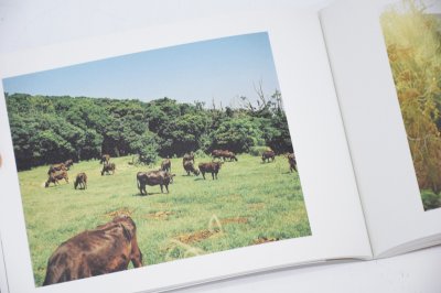 画像15: Papa, You’re Crazy〈クジラと天体、父の島〉/ 西山勲