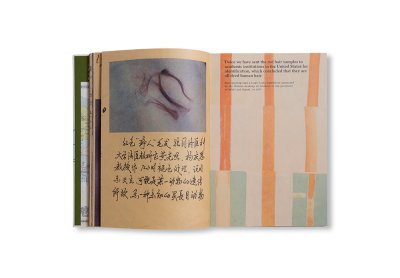 画像14: WILDMAN FEVER! / Ruben Lundgren