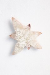 乾いたbeat / 福士遥 Fukushi Haruka【12月2日以降発送】