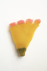 よろこび  / 福士遥 Fukushi Haruka【12月2日以降発送】