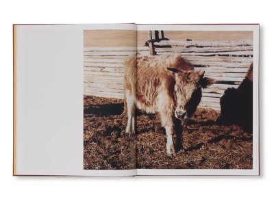 画像2: SÜÜ / Taemin Ha