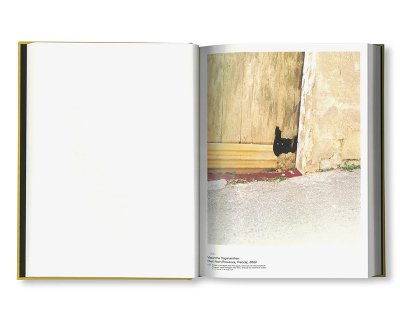 画像7: CLIN D'ŒIL / Cécile Poimbœuf-Koizumi & Stephen Ellcock