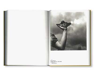 画像18: CLIN D'ŒIL / Cécile Poimbœuf-Koizumi & Stephen Ellcock