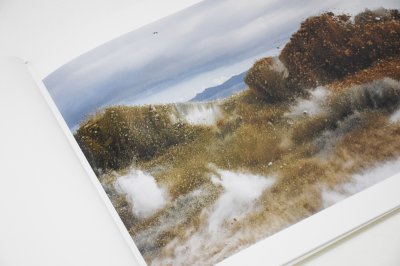 画像4: A BIRD  Blast #130  /  畠山直哉 Naoya Hatakeyama 