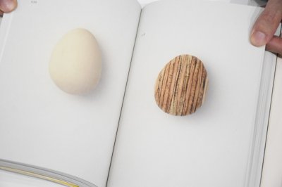 画像6: egg /  澄敬一 Keiichi Sumi