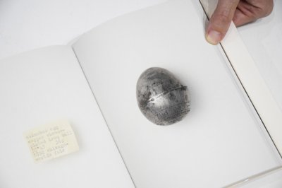 画像9: egg /  澄敬一 Keiichi Sumi