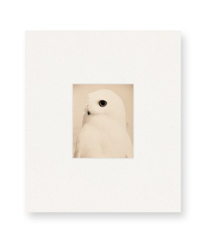 画像1: Yamamoto Masao  /  山本昌男