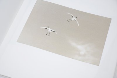 画像6: Yamamoto Masao  /  山本昌男