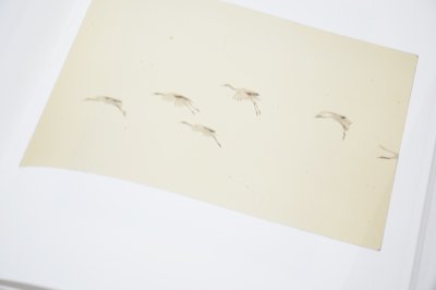 画像7: Yamamoto Masao  /  山本昌男