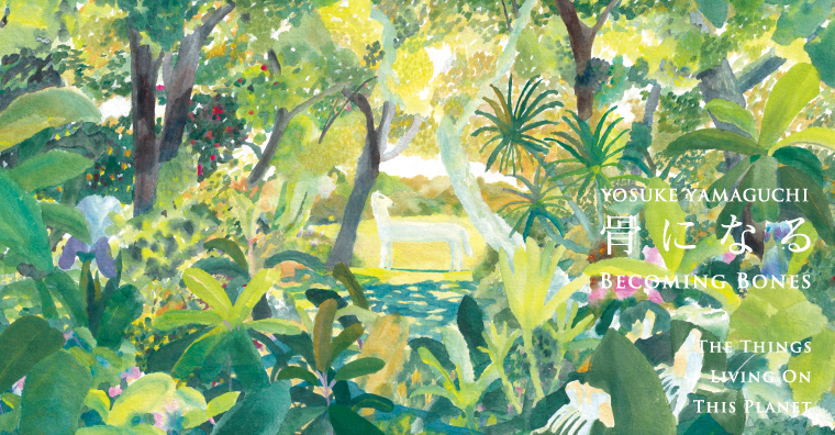 山口洋佑作品集『骨になる』