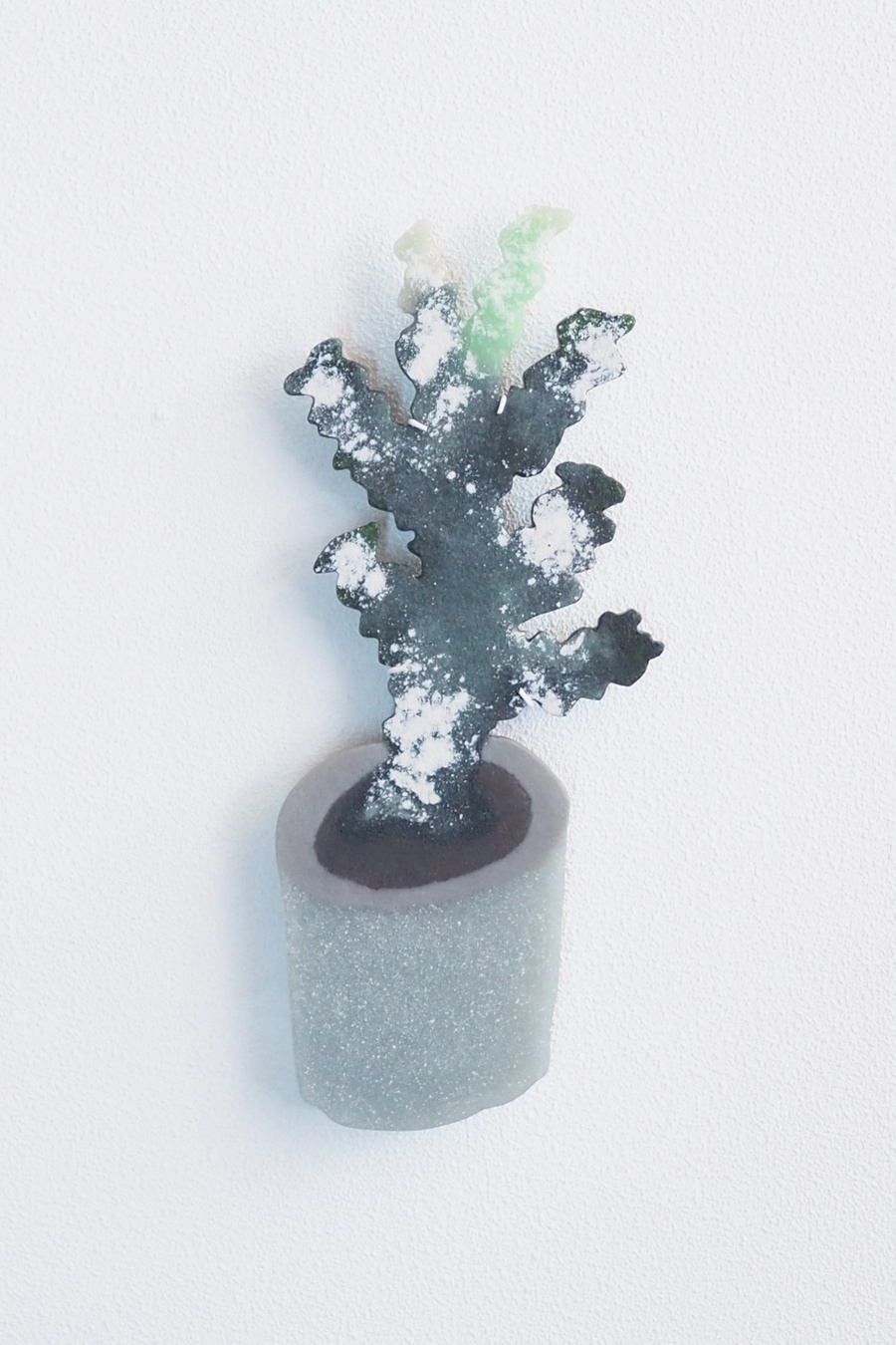 サボテン  / 福士遥 Fukushi Haruka【12月2日以降発送】