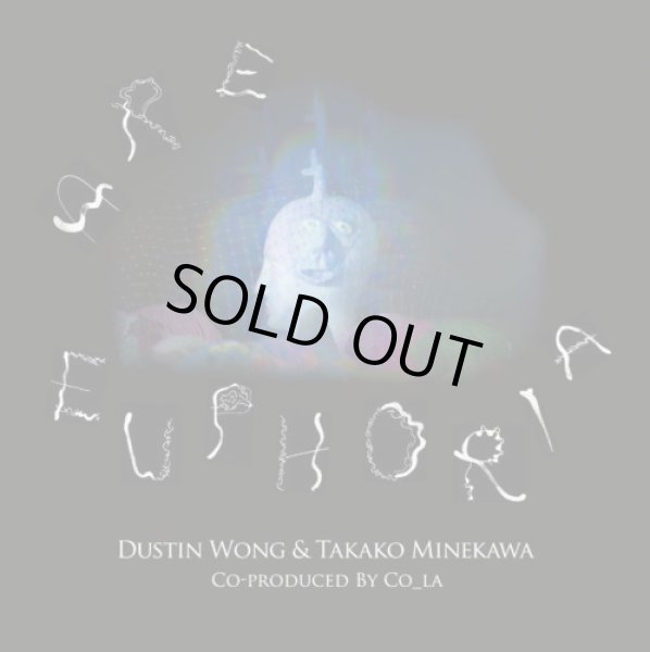 画像1: Are Euphoria / Dustin Wong & Takako Minekawa (1)