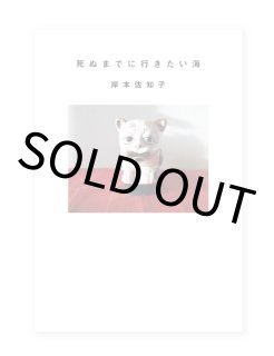VANITAS : FLEUR / JIYOUNG KIM（金智暎） VANITAS : FLEUR / JIYOUNG KIM（金智暎） ON READING Online Shop
