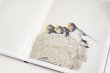 画像8: Des oiseaux（On birds）/  川内倫子 Rinko Kawauchi  (8)