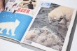画像5: Animal Books For Dierenboeken Voor Jaap Zeno Anna Julian Luca / Lous Martens (5)