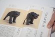 画像4: 熊彫図鑑 第2版 / 東京903会 (4)