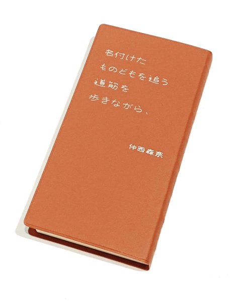 画像1: 名付けたものどもを追う道筋を歩きながら、 / 仲西森奈 (1)