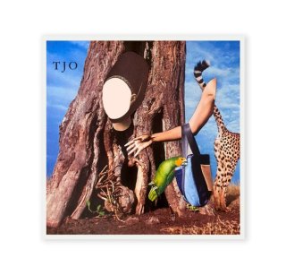 CD / VINYL / CASSETTE 取扱商品一覧 / ON READING Online Shop