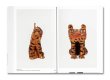 画像18: MAGDALENA SUAREZ FRIMKESS / Douglas Fogle & Hanneke Skerath (18)