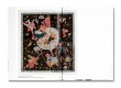 画像16: MAGDALENA SUAREZ FRIMKESS / Douglas Fogle & Hanneke Skerath (16)