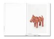 画像7: MAGDALENA SUAREZ FRIMKESS / Douglas Fogle & Hanneke Skerath (7)