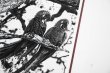 画像4: Des oiseaux / Sebastião Salgado (4)