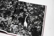 画像9: Des oiseaux / Sebastião Salgado (9)