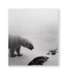 画像1: Dioramas /  杉本博司 Hiroshi Sugimoto (1)