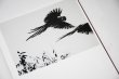 画像7: Des oiseaux / Sebastião Salgado (7)