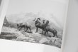 画像14: Dioramas /  杉本博司 Hiroshi Sugimoto (14)