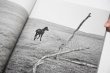 画像2: Horses / Jane Evelyn Atwood (2)