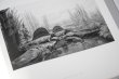 画像5: Dioramas /  杉本博司 Hiroshi Sugimoto (5)