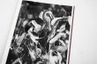 画像8: Des oiseaux / Sebastião Salgado (8)