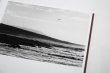 画像2: Des oiseaux / Sebastião Salgado (2)