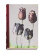 画像1: Les extravagantes / Leendert Blok,  Gilles Clément (1)